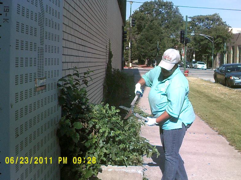 SSA #51 landscaping
